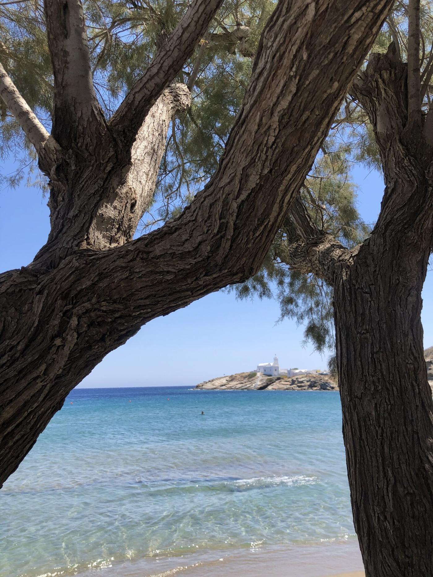 Weathered trees framing turquoise water and a small chapel on the headland in Greece