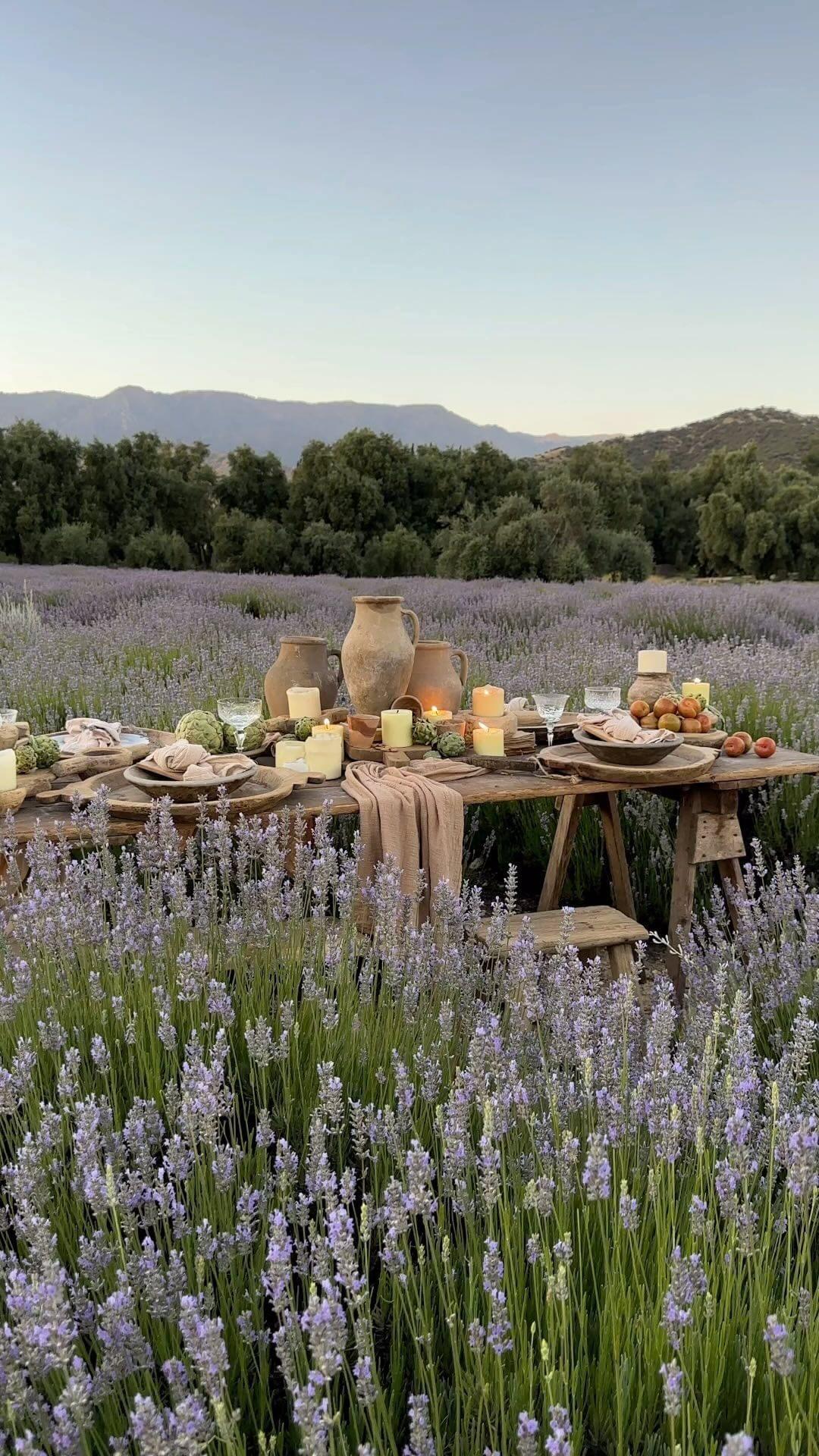 A long wooden table set with candles, earthenware jugs and artichokes in a lavender field at dusk, olive trees along the horizon