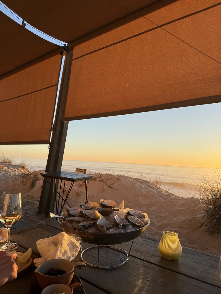 A platter of oysters and a glass of white wine on a driftwood table, the Atlantic beyond at sunset