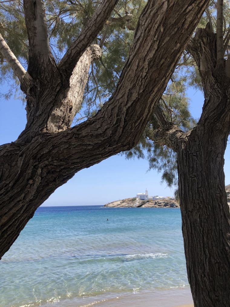 Weathered trees framing turquoise water and a small chapel on the headland in Greece