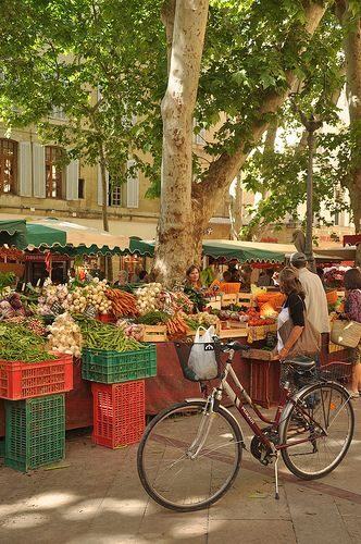 A Provençal market under plane trees, a bicycle by the stalls