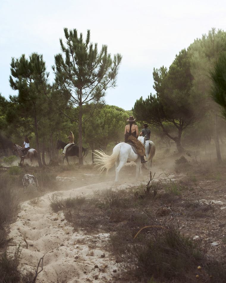 Riders on horseback on a sandy track through the Comporta pine forest