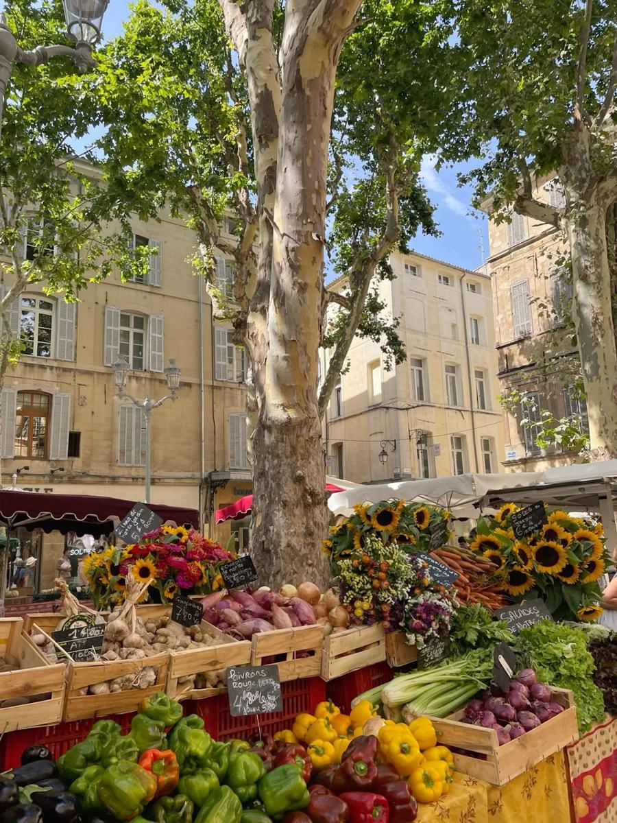 A Provençal market under plane trees, crates of peppers and garlic beside buckets of sunflowers