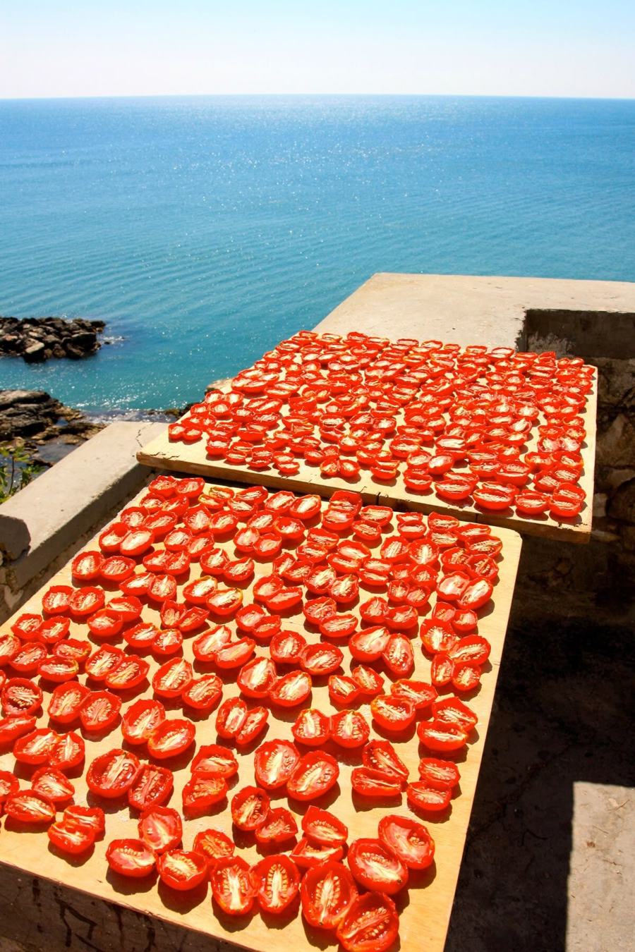 Halved tomatoes drying in the sun on wooden boards on a terrace above the sea
