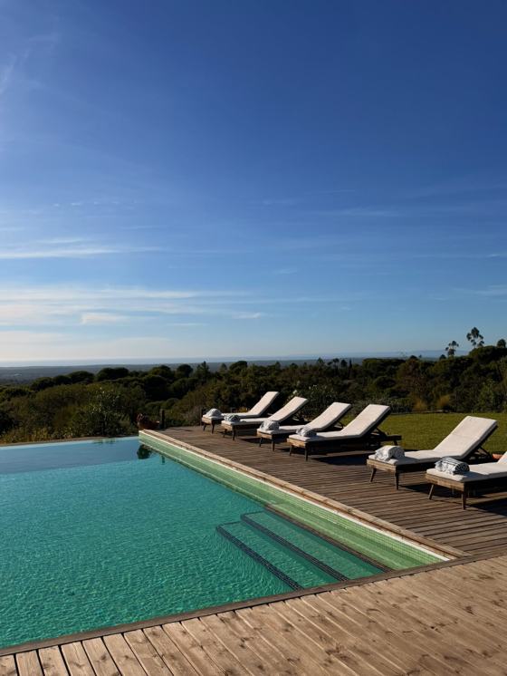 An infinity pool with sun loungers above the pine forest